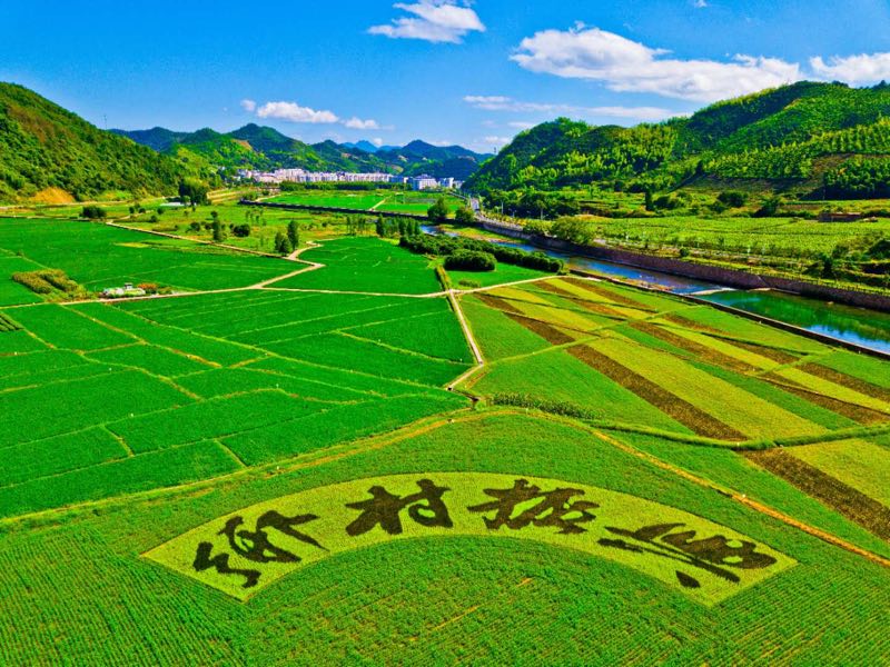 购宝钱包-全球领先的区块链支付钱包