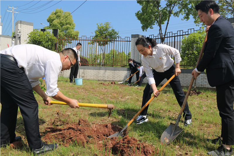 ����Ǯ������