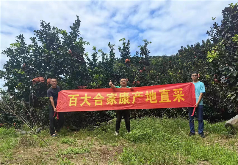 购宝钱包-全球领先的区块链支付钱包
