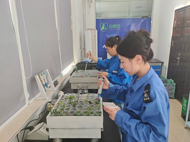 ����Ǯ������