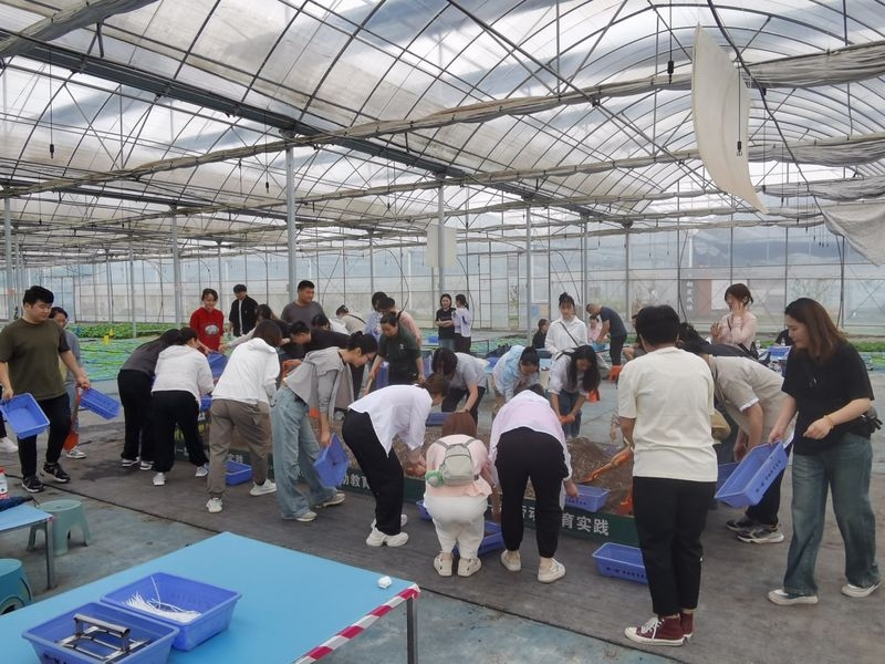 ����Ǯ������