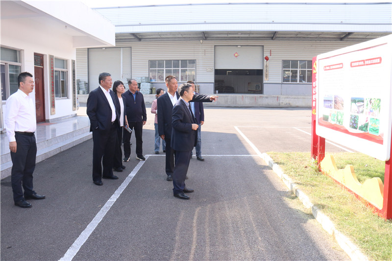 ����Ǯ������