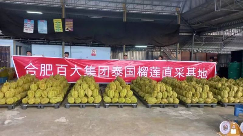 ����Ǯ������