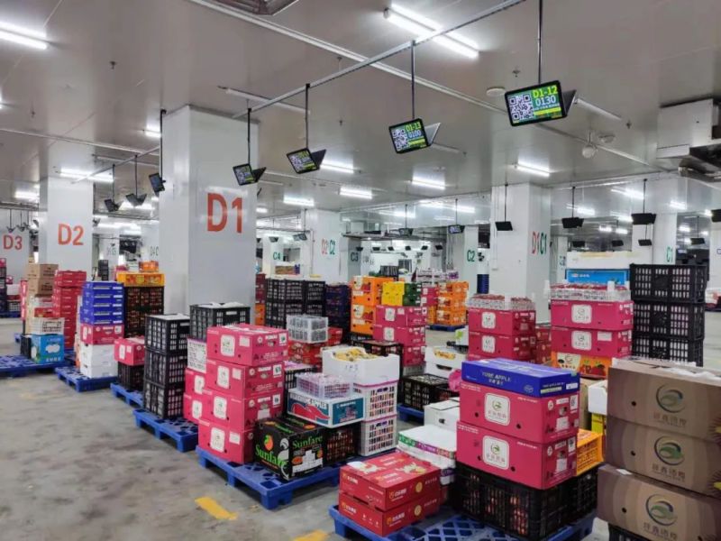 ����Ǯ������