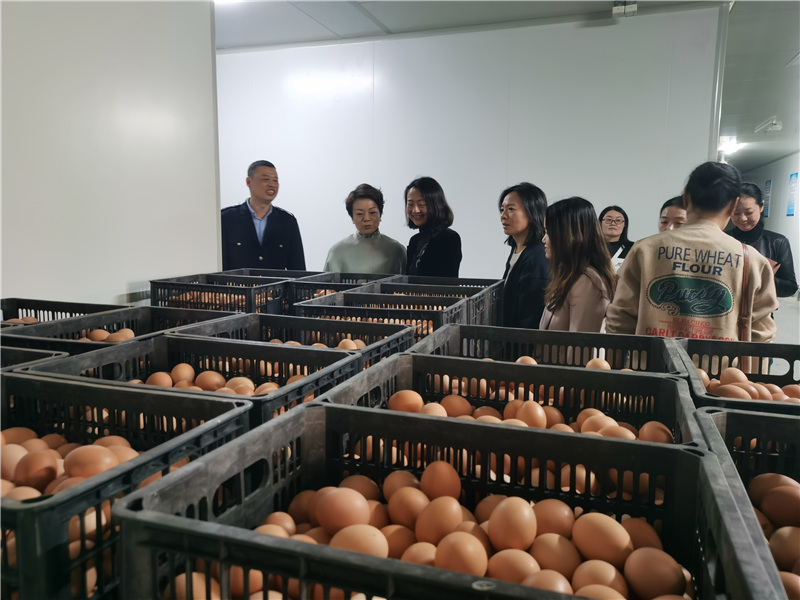 ����Ǯ������