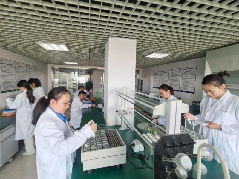 ����Ǯ������