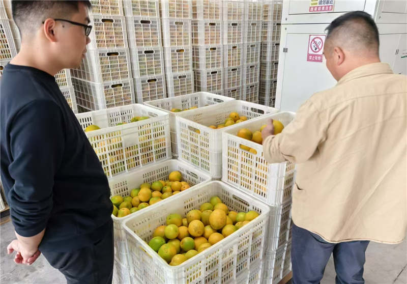 ����Ǯ������