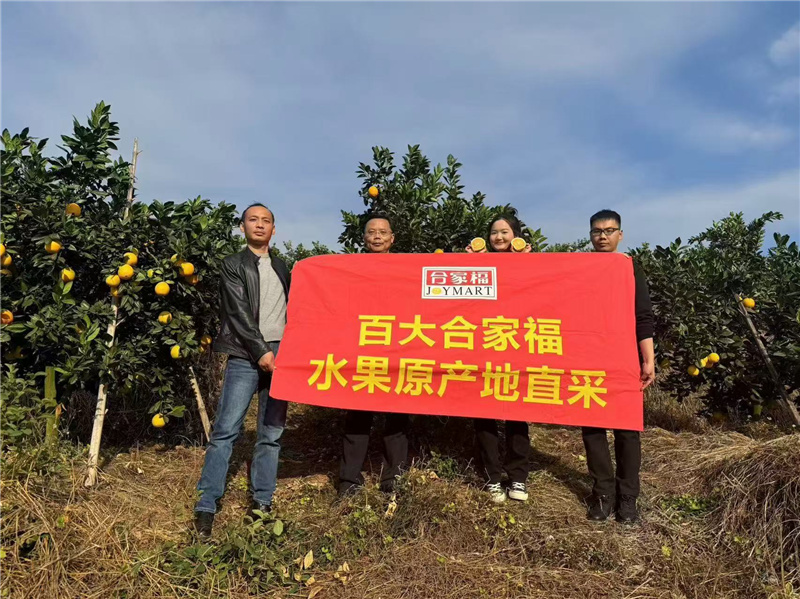 ����Ǯ������