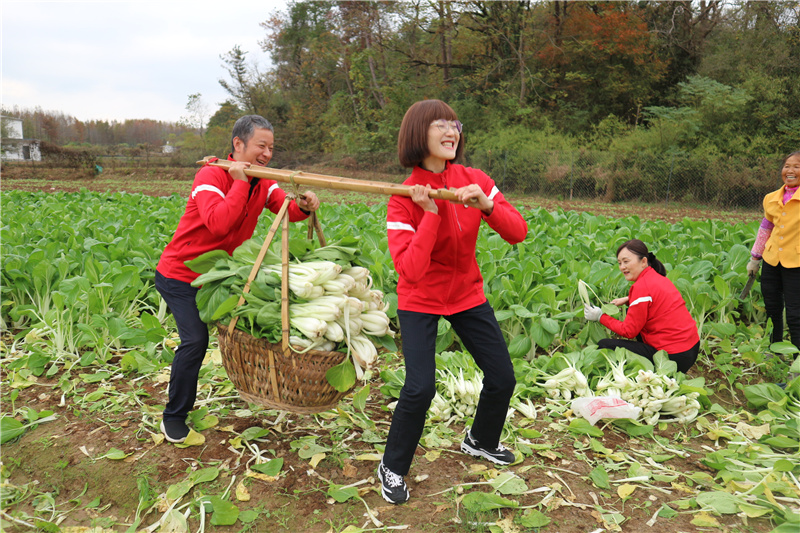 ����Ǯ������