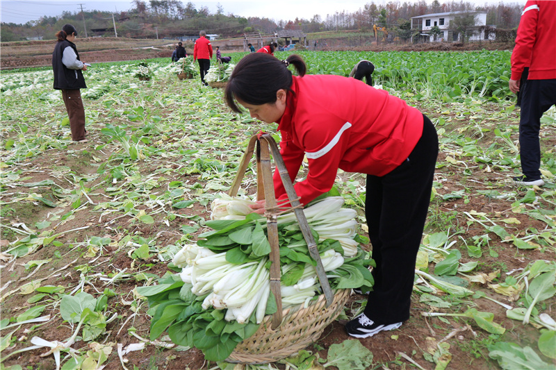 ����Ǯ������