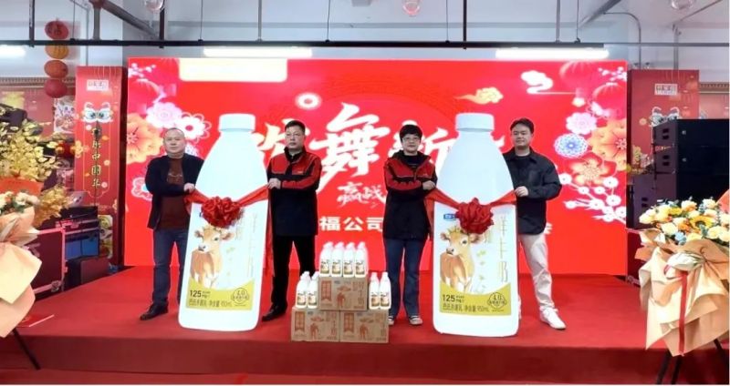 ����Ǯ������