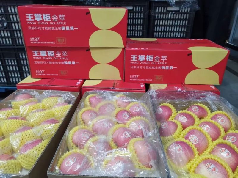 ����Ǯ������