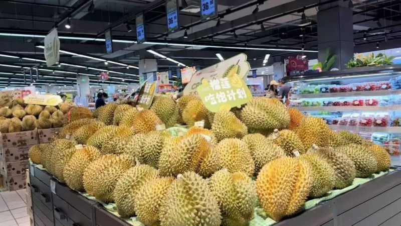 ����Ǯ������