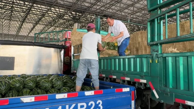 ����Ǯ������