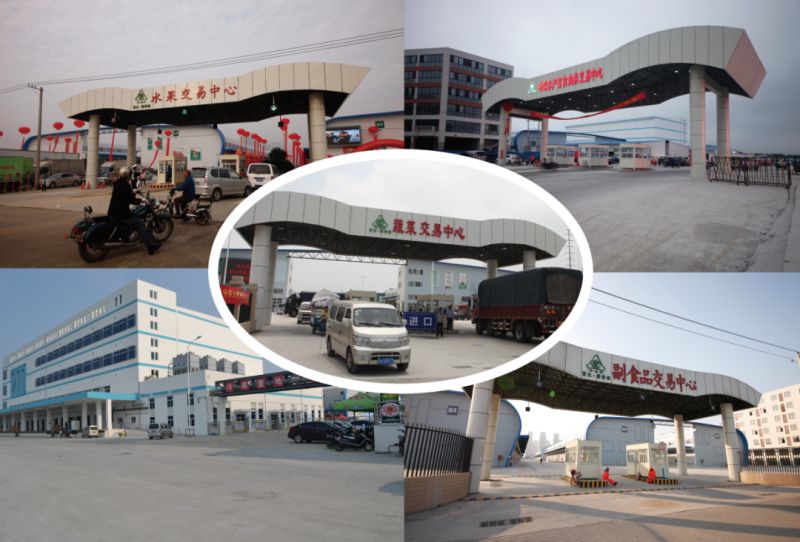 ����Ǯ������