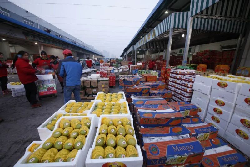 ����Ǯ������