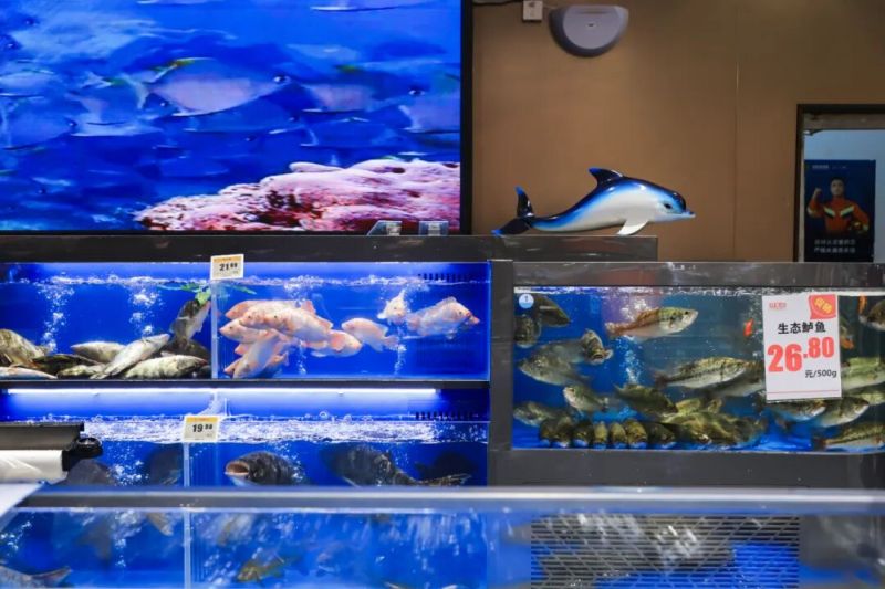 ����Ǯ������