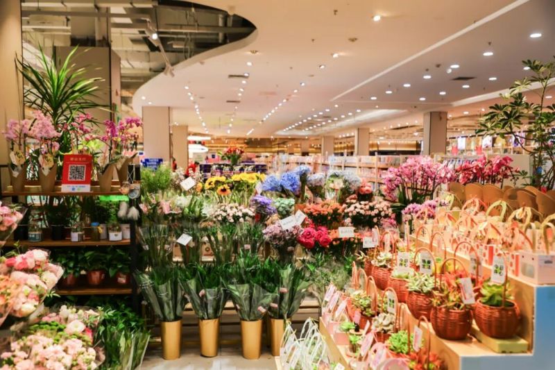 ����Ǯ������