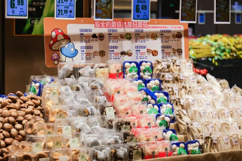 ����Ǯ������