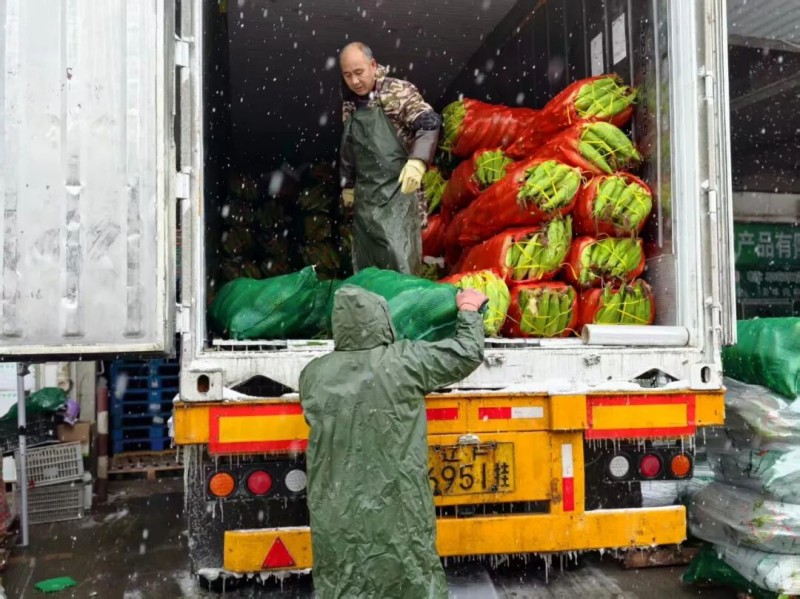 ����Ǯ������