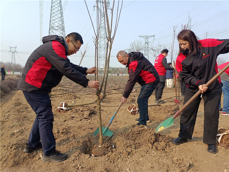 ����Ǯ������